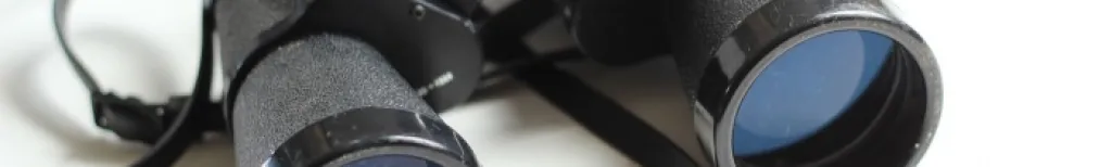 Du ser vad du letar efter