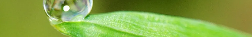 Vågar du släppa taget?