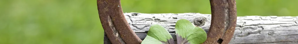 Har du tur i kärlek?