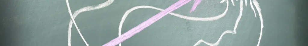 Vad drar du för slutsatser?