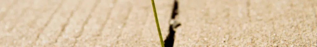 Ge inte upp om det känns svårt, öva istället!