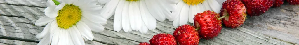 Singel på midsommar – bästa tipsen timme för timme