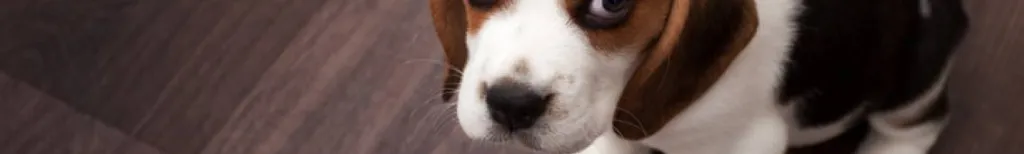 Varför svarar han inte? / Varför skriver hon inte tillbaka?