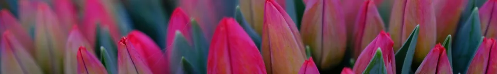 Träffa singlar i Sverige med Match