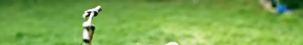 Övar du eller chansar du?