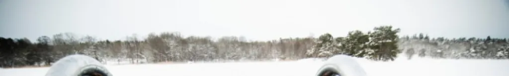 Botanisk trädgård i vinterskrud och pingisbar