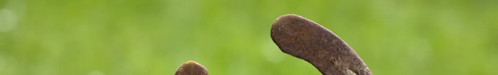Har du tur i kärlek?