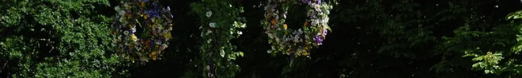 Midsommarförväntningar