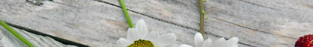 Singel på midsommar – bästa tipsen timme för timme